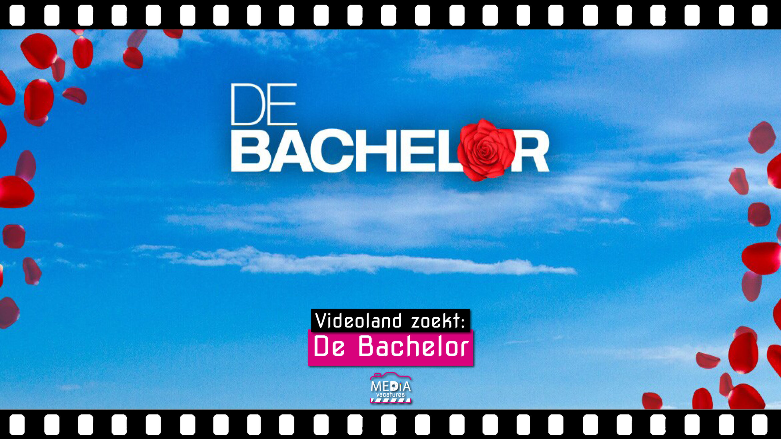 Videoland - De Bachelor - Stagiaire - Mediavacatures.com