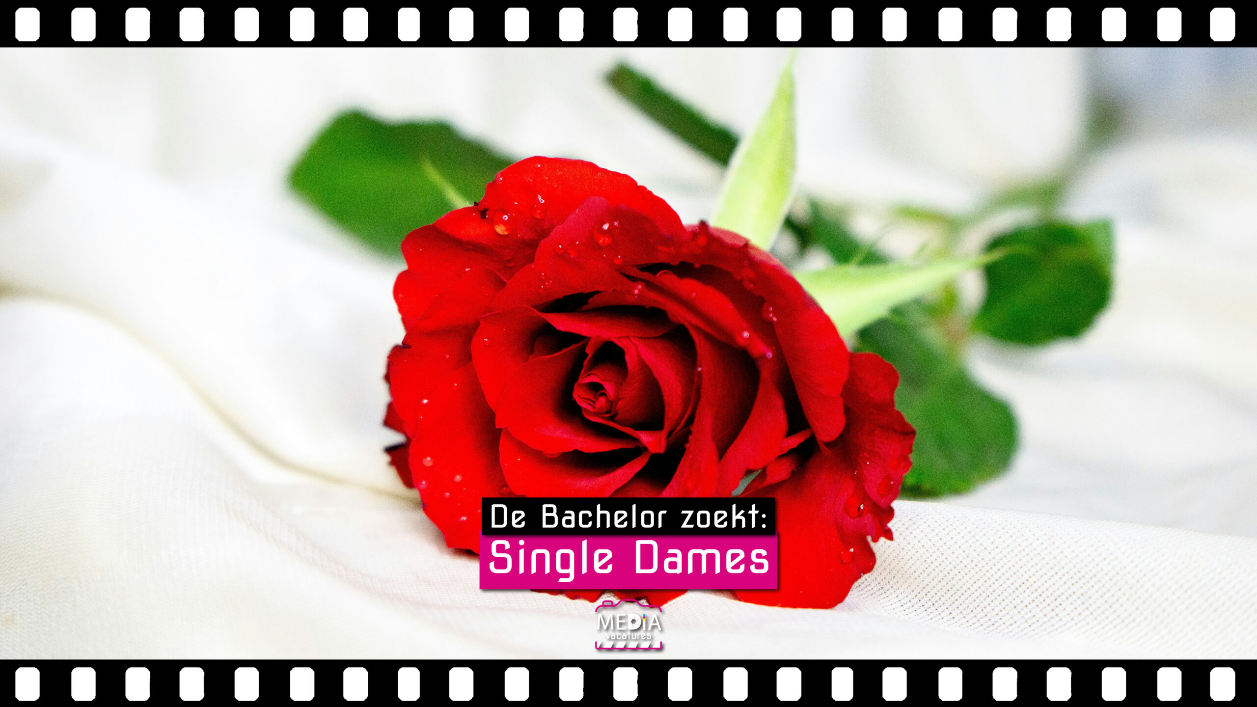 De Bachelor - Single Dames - Mediavacatures.com