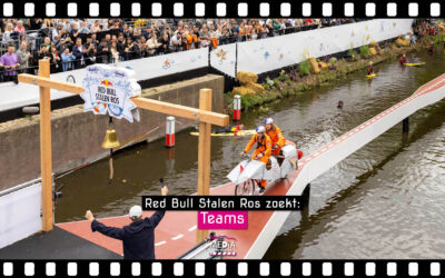 Red Bull Stalen Ros: Teams