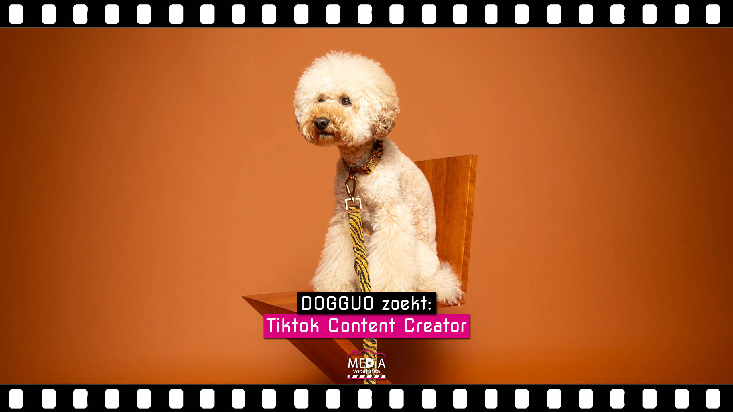 DOGGUO - Tiktok Content Creator - Mediavacatures.com