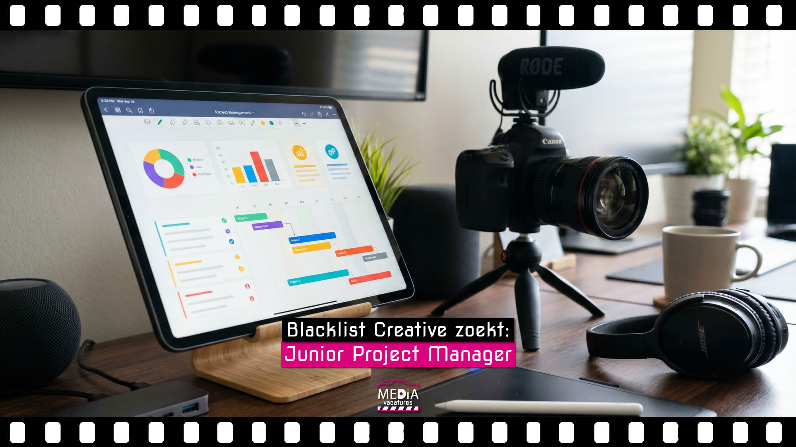 Blacklist Creative - Junior Project Manager - Mediavacatures.com